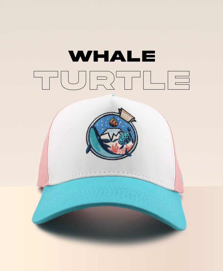 WHALE TURTLE